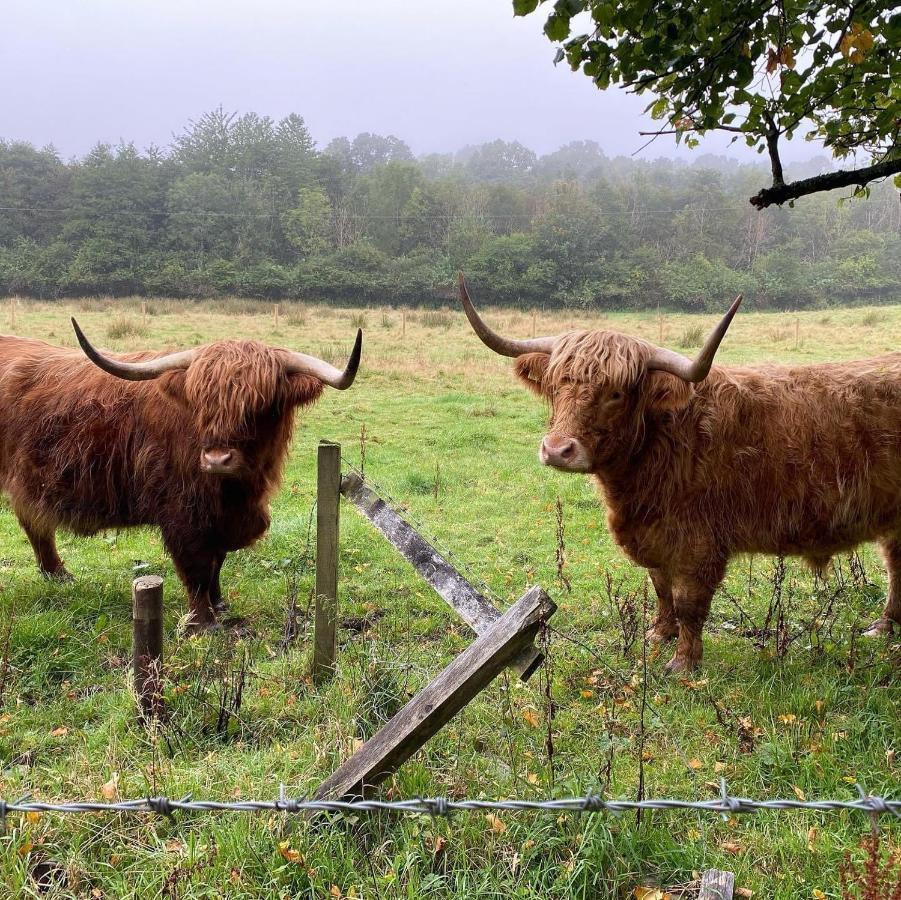 Alderdale B&B Luss Dış mekan fotoğraf